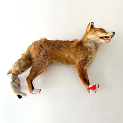 PROP AUCTION FOX